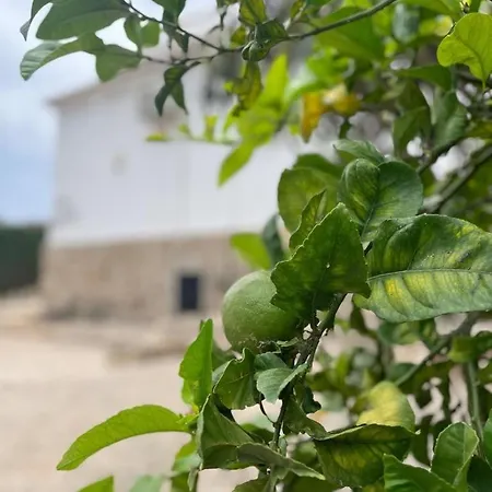 فيلة Casa Ignatz 5 Bed Luxury With Private Pool خافييا